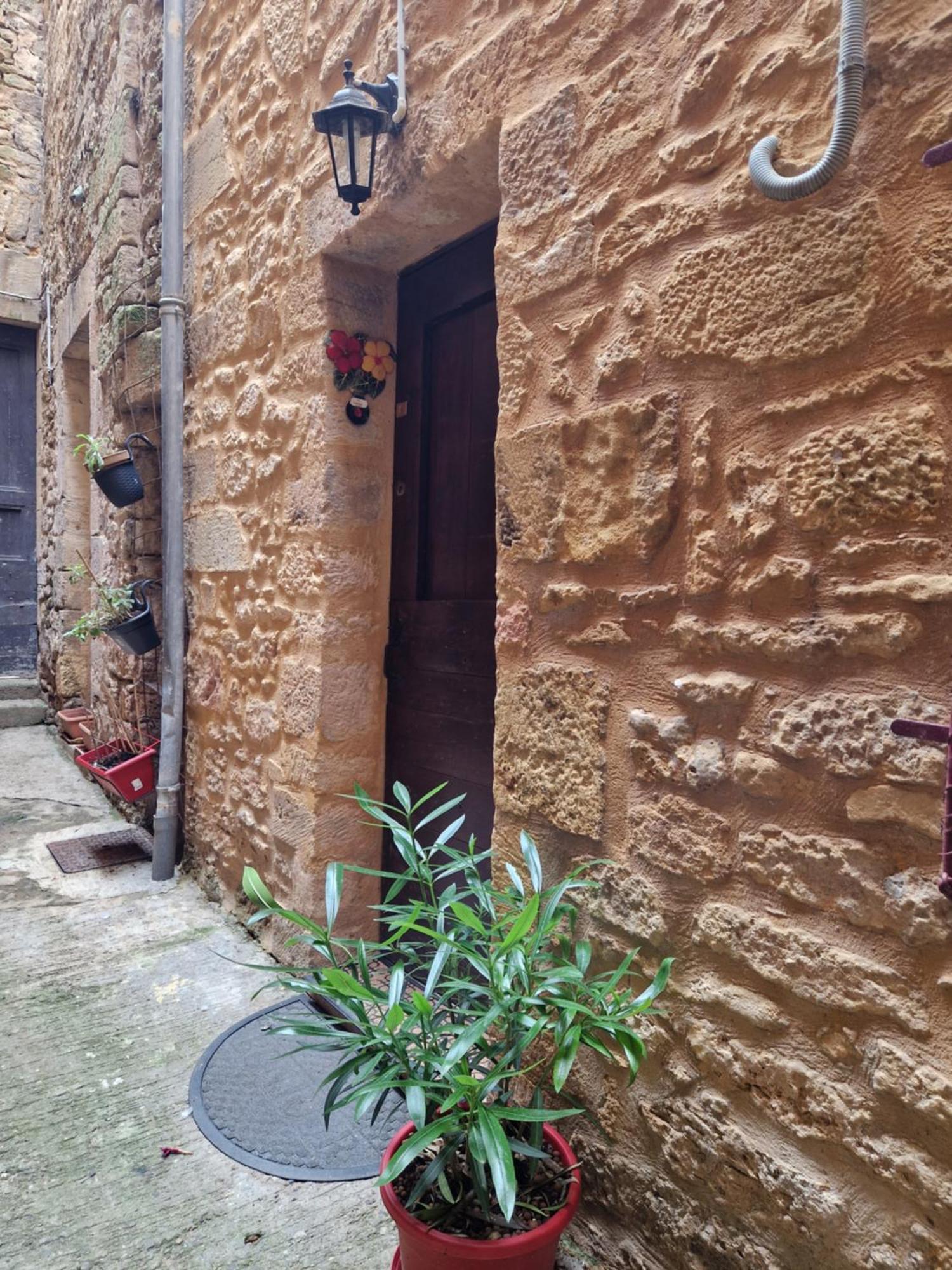Les Flamboyants Apartment Sarlat-la-Caneda Luaran gambar