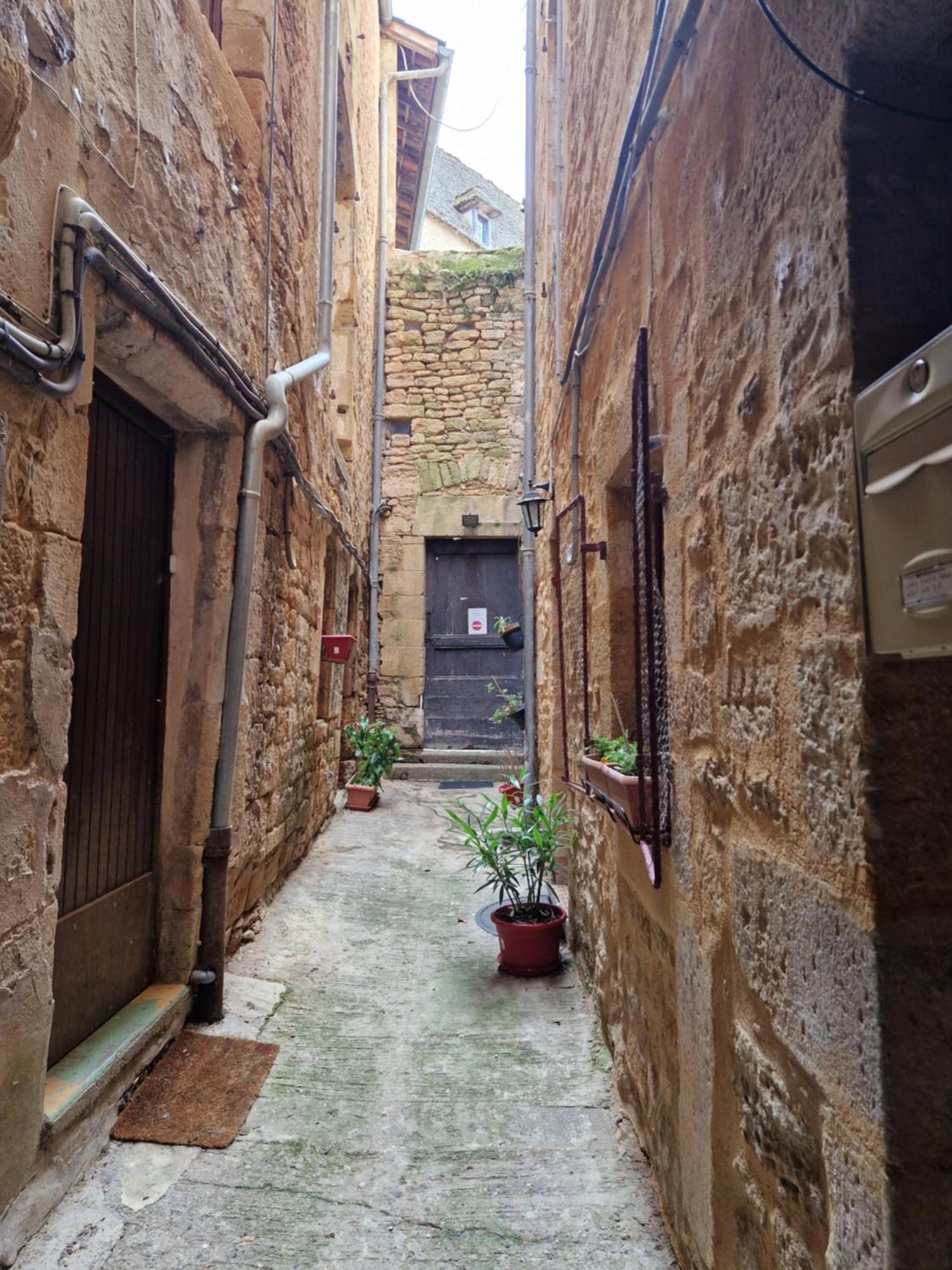 Les Flamboyants Apartment Sarlat-la-Caneda Luaran gambar